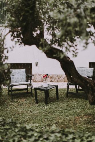 Il Pettirosso B&B