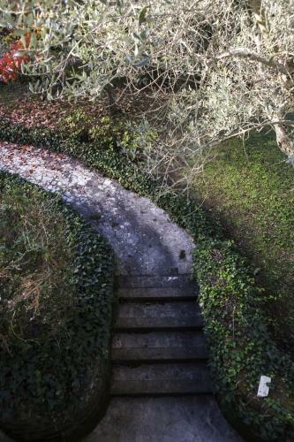Il Pettirosso B&B