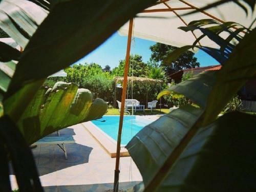 Apartamento Appartamenti Le Buganville