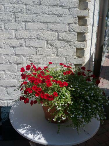 Bed & Breakfast Hoeve Heidonk