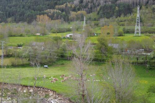 Apartamento Pyren Hab - Antigua Fonda Adem�