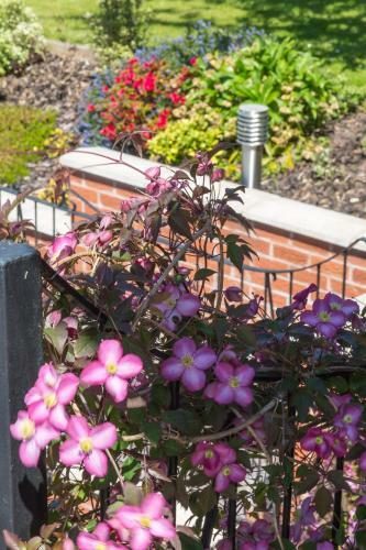 The Laurels B&B