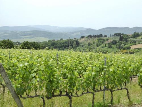 Holiday Home San Gimignano