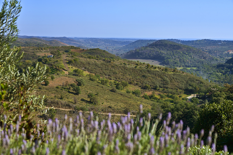 Hotel Quinta Do Marco
