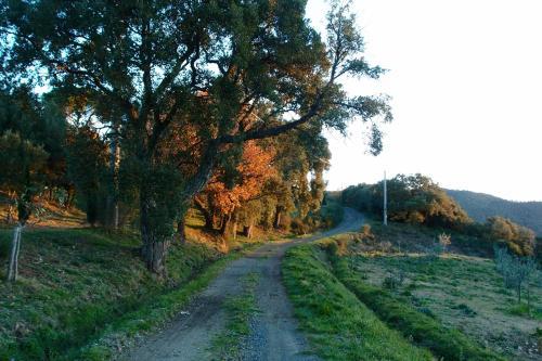 Agroturismo Casale Pundarika