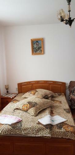 Hostal Casa Lucian
