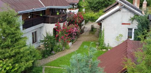 Hostal Casa Lucian