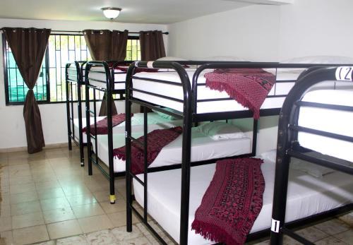 Albergue Hostal Loco Coco Loco