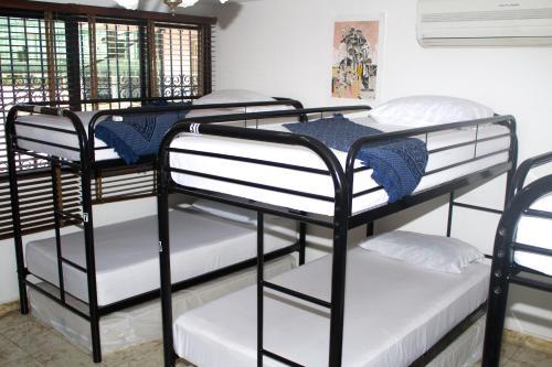 Albergue Hostal Loco Coco Loco