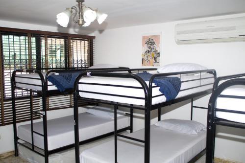 Albergue Hostal Loco Coco Loco