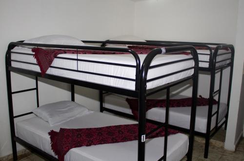 Albergue Hostal Loco Coco Loco