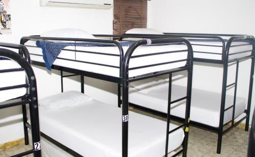 Albergue Hostal Loco Coco Loco