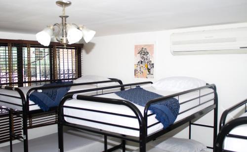 Albergue Hostal Loco Coco Loco