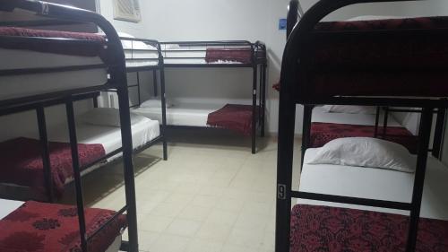 Albergue Hostal Loco Coco Loco