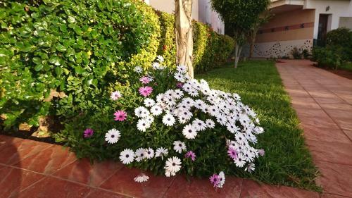 Apartamento Artistica Suite - La Siesta