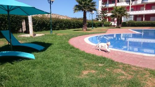 Apartamento Artistica Suite - La Siesta