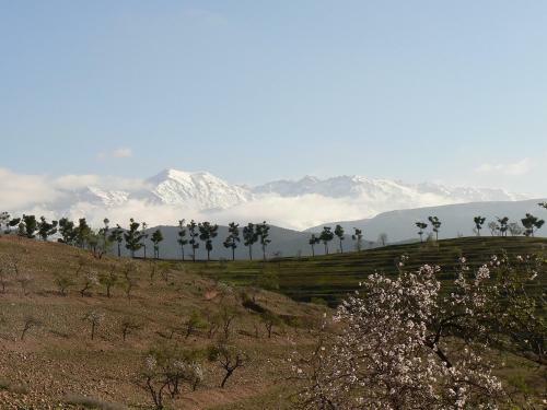 Bed & Breakfast Tigmi Nomade