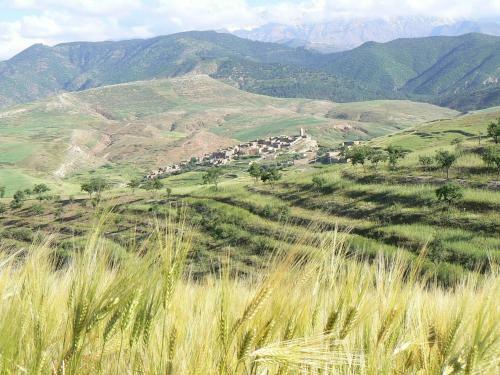 Bed & Breakfast Tigmi Nomade