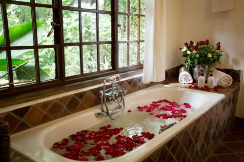 Hotel Rivertrees Country Inn