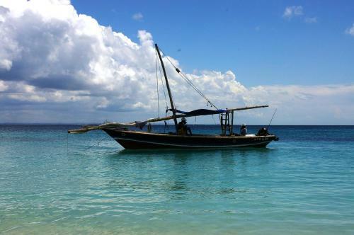 Hotel Kipepeo Beach And Village