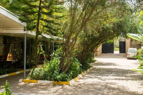 Desert Breeze Hotel