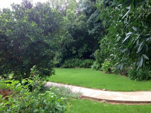 Hostal Asboom/ashtree Guesthouse