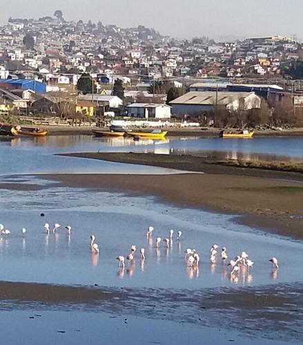 Apartamento Caba�as Ancud