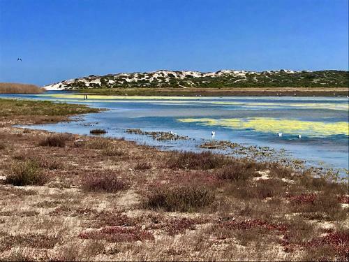 Friedse Plek At Lamberts Bay
