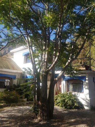 Hostal Los Pe�ones
