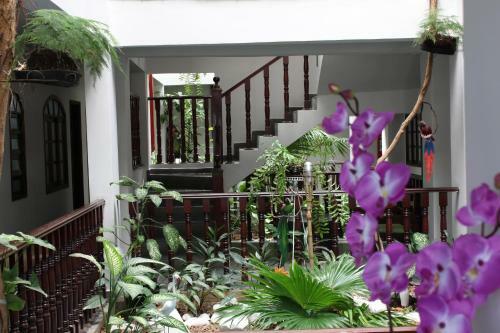 Hostal Farol Das Gaivotas Pousada E Residence