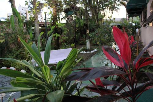 Hostal Farol Das Gaivotas Pousada E Residence