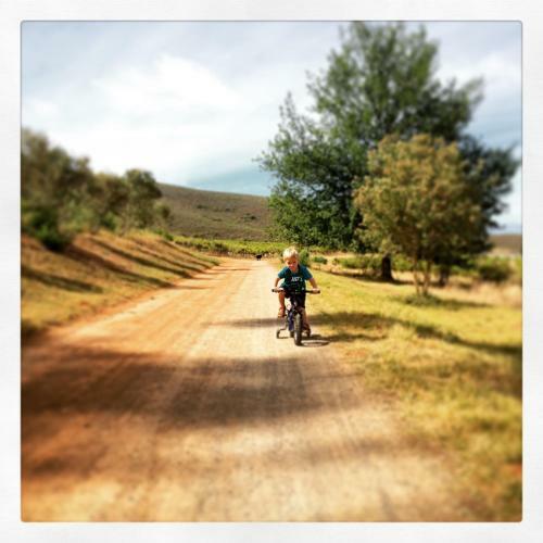 Agroturismo Pat Busch Mountain Reserve