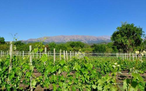 Bed & Breakfast Finca Cielo Verde
