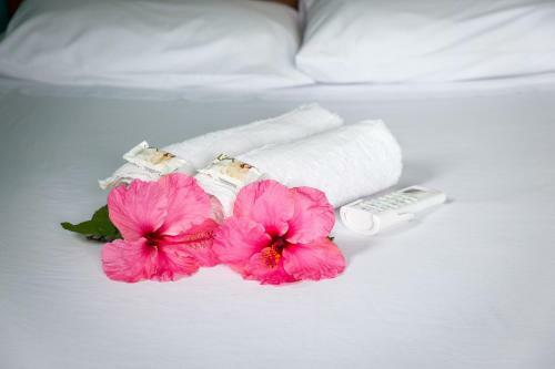 Bed & Breakfast Sunrise Bela Vista