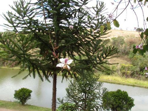 Hostal Pousada Gota De Minas