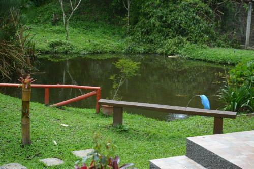 Hostal Pousada Recanto Dos Ipes