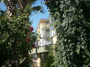 Apartamentos Sifalar