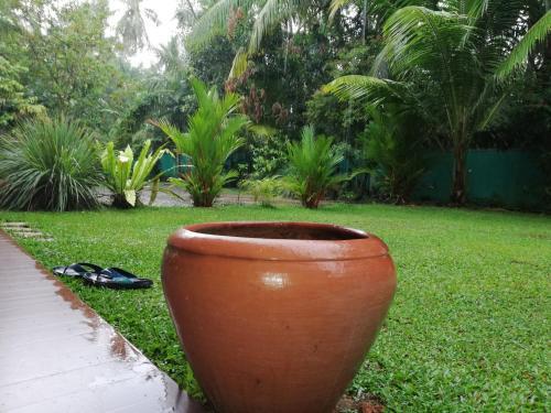 Bed & Breakfast Manik Villa