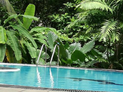 Bed & Breakfast Manik Villa
