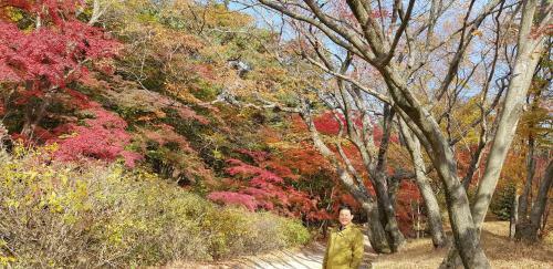 Gyeongju Tiamo Pension