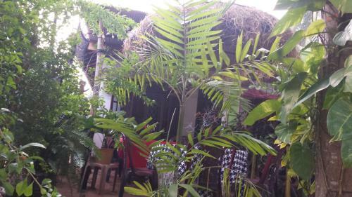 Hotel Beni Beach Resort