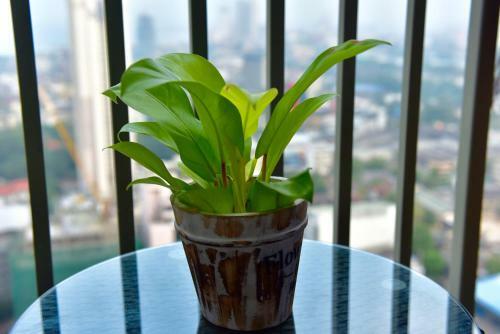 Skylounge Apartment Colombo