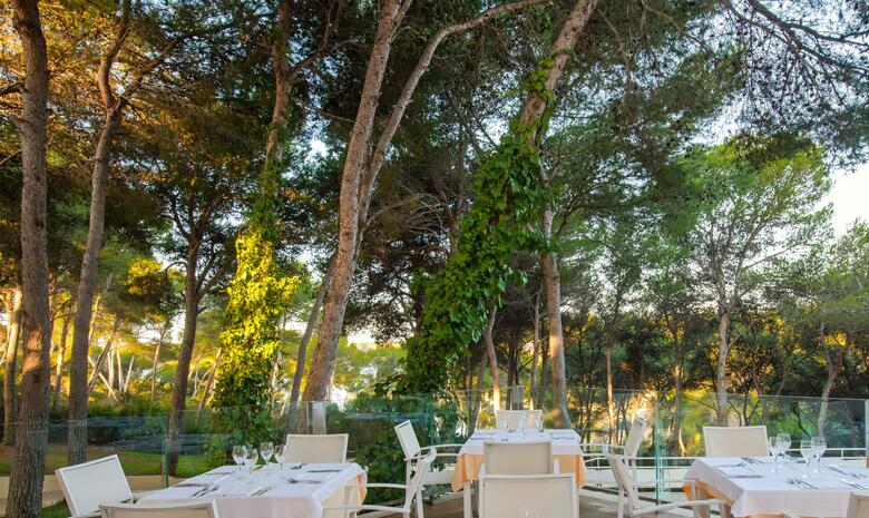 Hotel Iberostar Waves Club Cala Barca