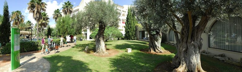 Apartamentos Protur Safari Park