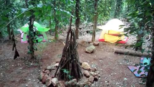 Hostal Nature Park