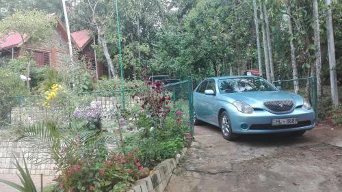 Dew Lee Homestay