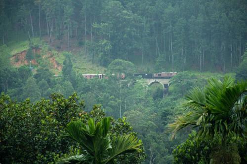 Dew Lee Homestay