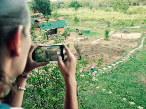 Lodge Elephant Watch Hut
