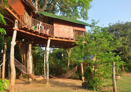 Lodge Elephant Watch Hut