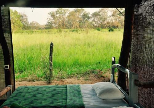 Lodge Elephant Watch Hut